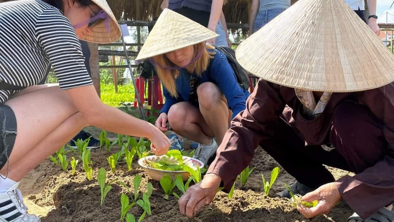 Lớp học làm nông tại vườn rau hữu cơ Kim Hà - Hội An (4)